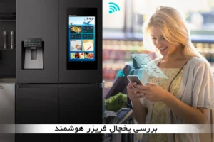 Smart refrigerator2